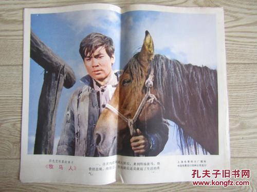 西佛罗里达大学 Diploma in Environmental Science